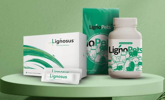 Lignosus tiger milk mushroom supplement company brand introduce&Story