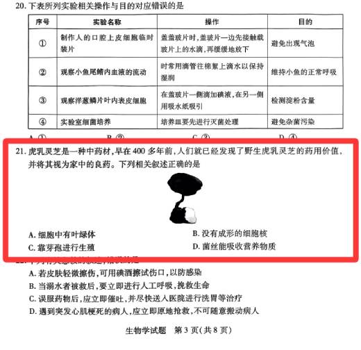 Hainan Tiger Milk Mushroom in secondary school Education & Industry
