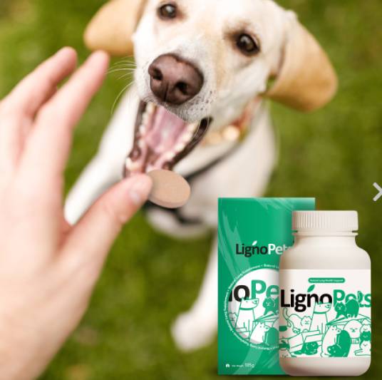 lignosus for dogs