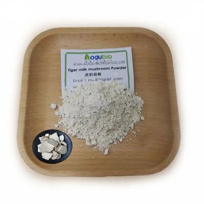 Aogubio Tiger Milk Mushroom powder OEM