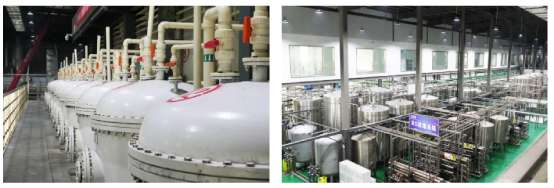 Aogubio Tiger Milk Mushroom OEM Factory