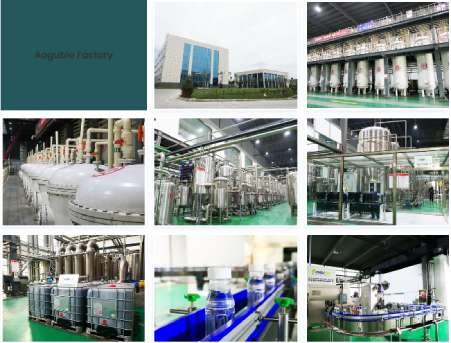 Aogubio Tiger Milk Mushroom OEM Factory