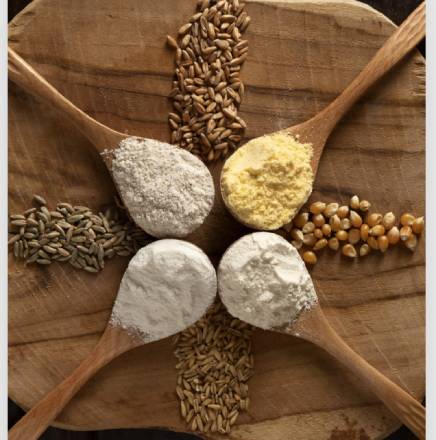 CK Ingredient tiger milk mushroom Powder OEM Sdn Bhd TMM-100 introduction