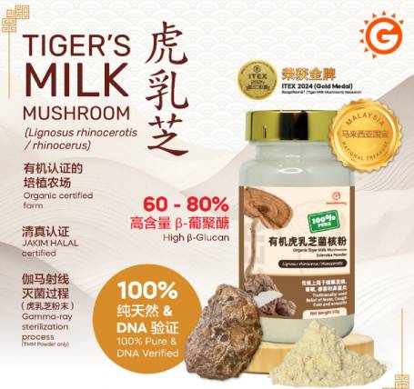 GoodMorning tiger milk mushroom Powder