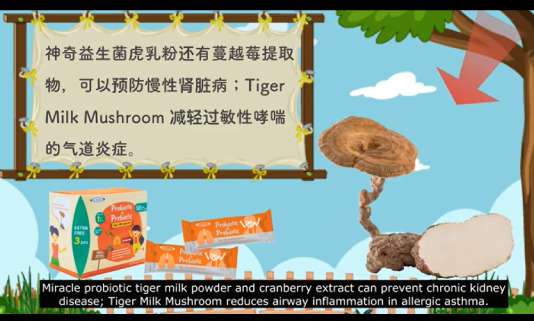 MHP MIRACLE Tiger Milk Mushroom  HEALTH PRODUCT