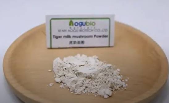 Aogubio Tiger Milk Mushroom powder