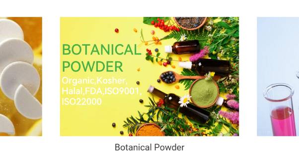 Vigorous Tiger Milk Mushroom Extract OEM Factory