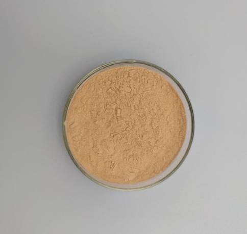 Vigorous Tiger Milk Mushroom Extract powder