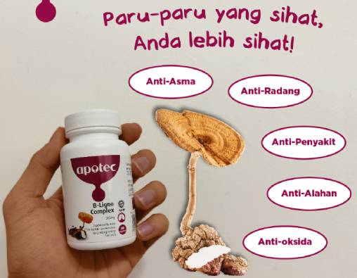 apotec B-Ligno Complex
