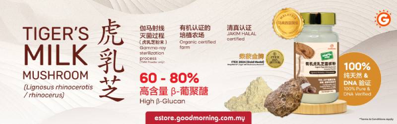 goodmorning tiger milk mushroom