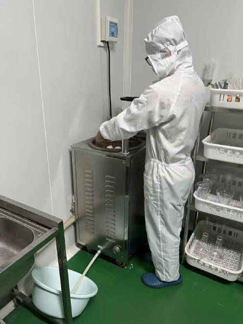 實驗人員進行虎乳芝菌種培育