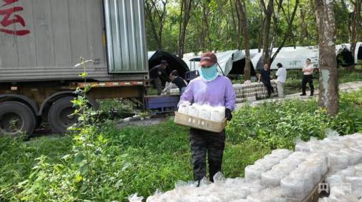 虎乳芝種植供應，工人正在卸載菌棒