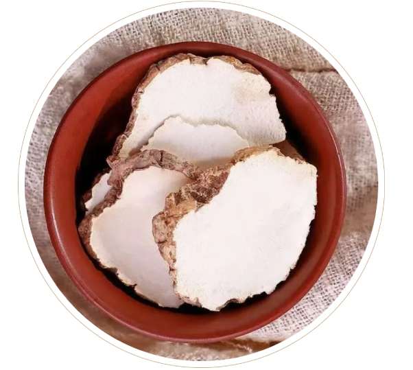 虎乳靈芝片