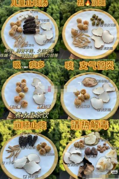 虎乳靈芝煲咩好