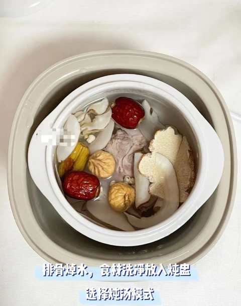 虎乳靈芝湯水