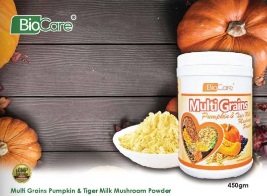 Multi Grains Pumpkin & Tiger Milk Mushroom Powder 450gm