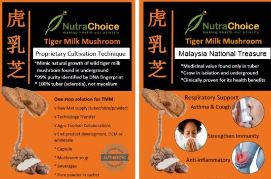 Nutra Choice Tiger Milk Mushroom benefits