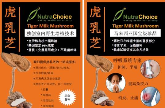 Nutra Choice Tiger Milk Mushroom Ingredients Supplier