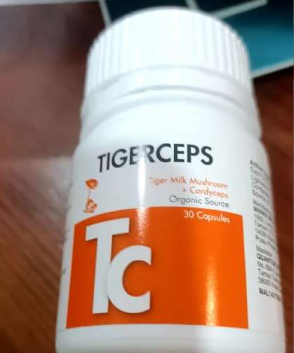 Quantum Tigerceps Tiger Milk Mushroom cordyceps