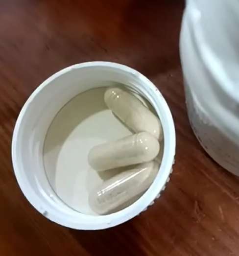 Quantum Tigerceps Tiger Milk Mushroom cordyceps capsule