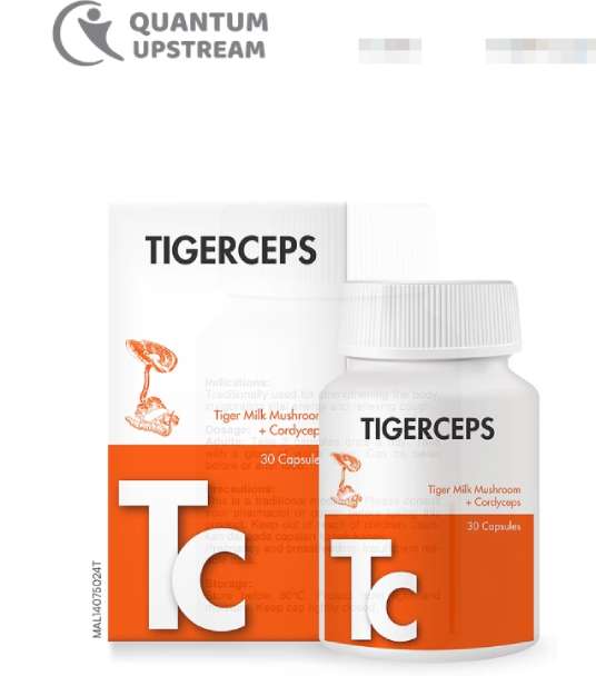 Quantum Tigerceps Tiger Milk Mushroom