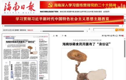 Tiger Milk Mushroom Edible and Medicinal Fungi-AINAN DAILY eport