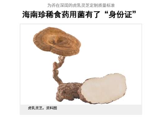 Tiger Milk Mushroom Identity Cards