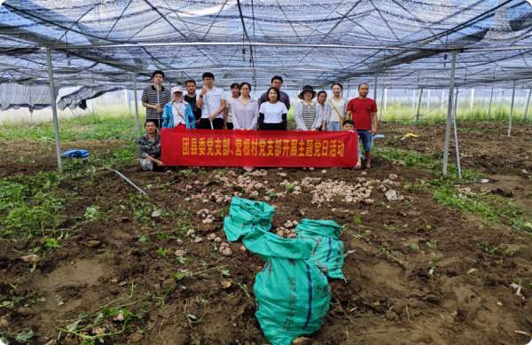 Tiger's Milk Lingzhi NaBai Cultivation Base Party Day Activities