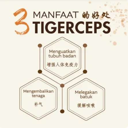 tigerceps kebaikan