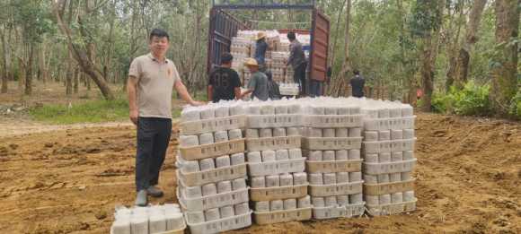 天涯貢此時产品虎乳靈芝種植