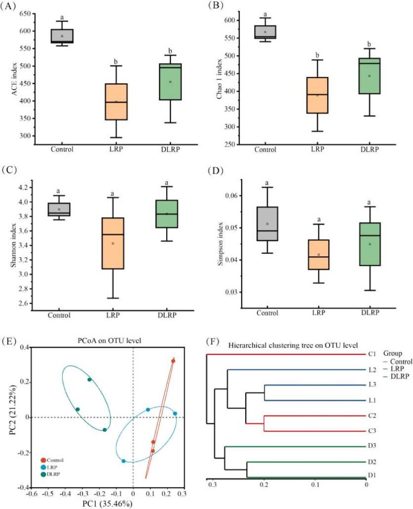 虎乳灵芝多糖功效肠道菌群的多样性