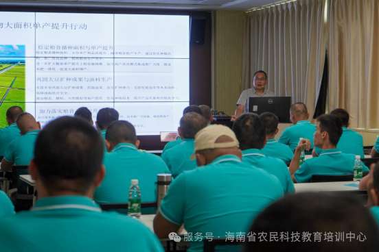 虎乳芝栽培培训