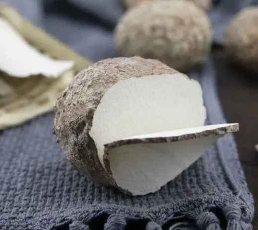 虎乳菌富含β-葡聚糖、三萜類化合物及酚酸等活性成分