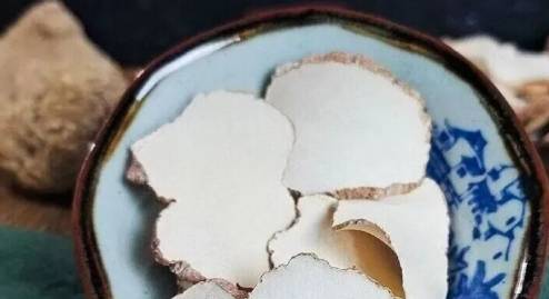虎乳菌功效