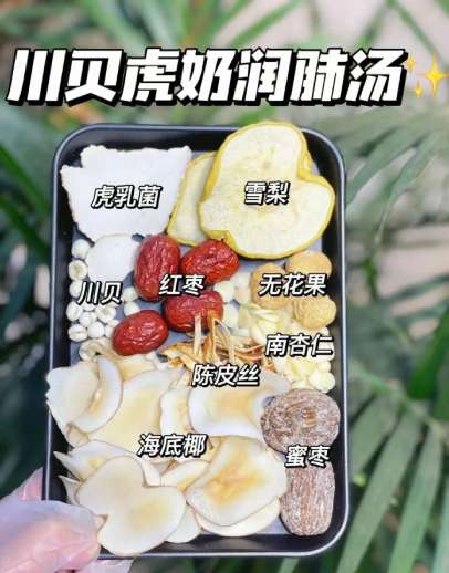 虎乳靈芝止咳湯