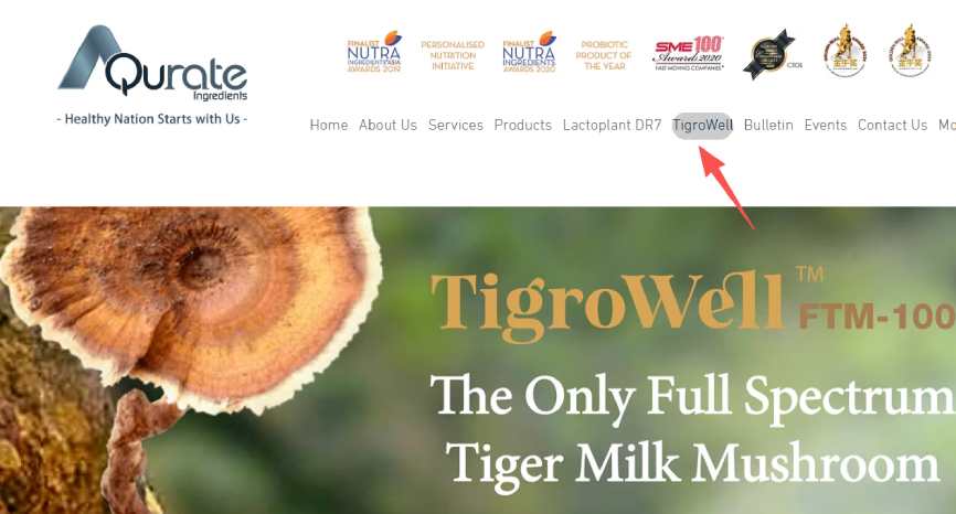 Aqurate Ingredients TigroWell FTM-100 tiger milk mushroom