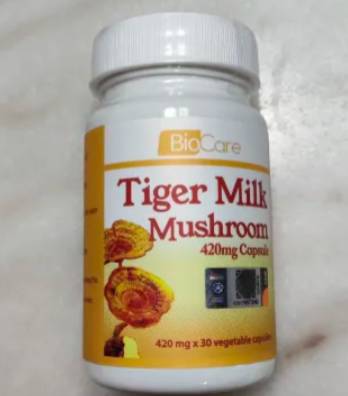 Biocare Tiger Milk Mushroom Review photo