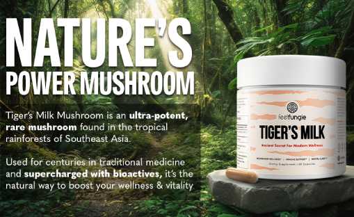 FeelFungie Tiger's Milk