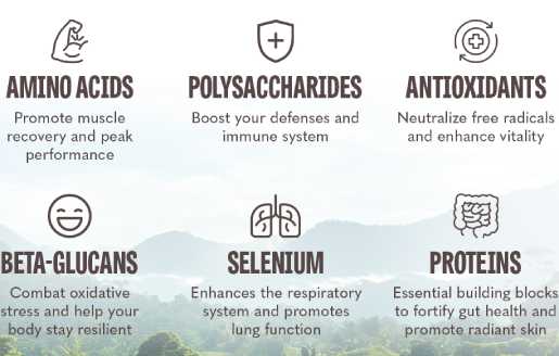 FeelFungie Tiger's Milk Mushroom Supplement benefits