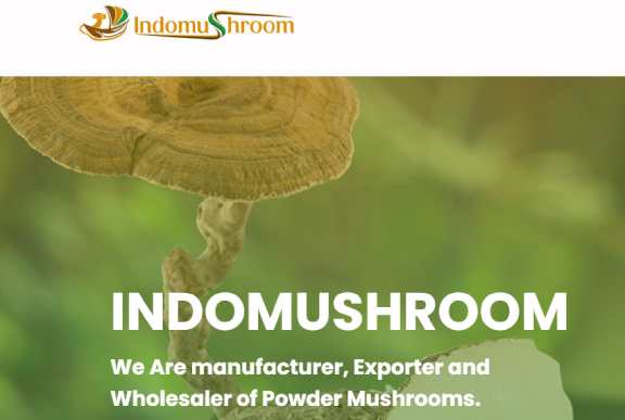 Indomushroom tiger milk mushroom powder