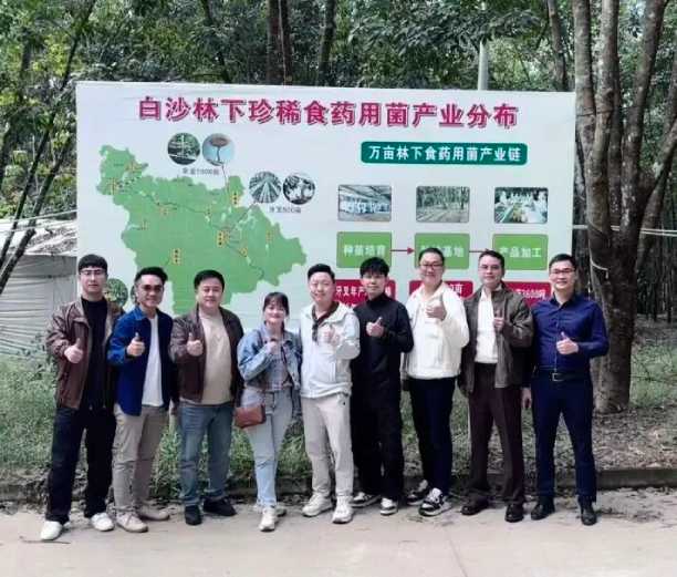 Visit the Rainforest Tiger milk mushroom cultivation