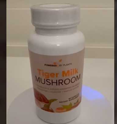 Plant X Power Lignosus Rhinocerus