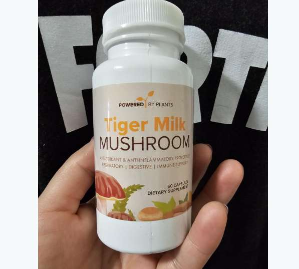 Plant X Power Tiger Milk Mushroom reviews