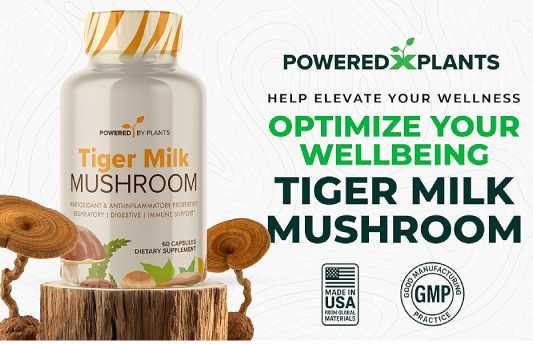 Plant X Power Tigers Milk Mushroom
