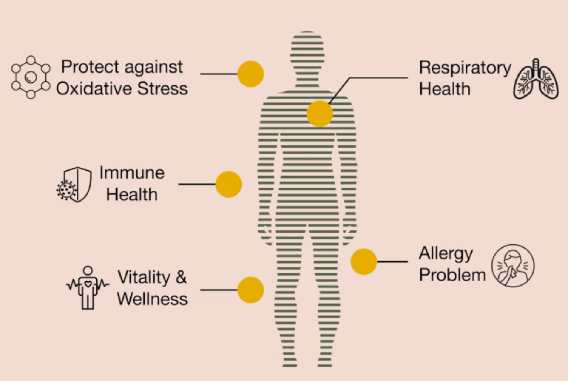 TigroWell FTM-100 tiger milk mushroom Benefits