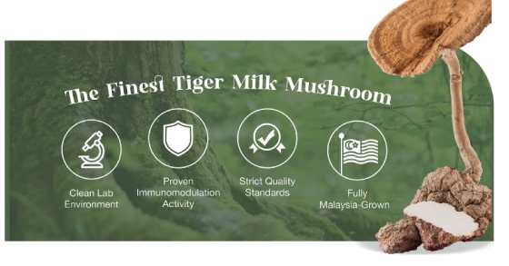 TigroWell FTM-100 tiger milk mushroom Malaysia