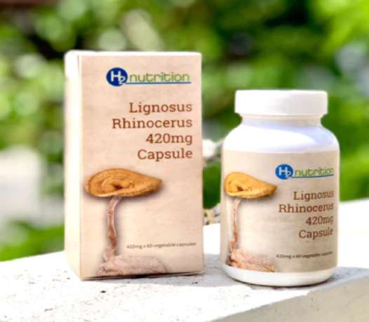 Vision HealthCare tiger milk mushroom benefits