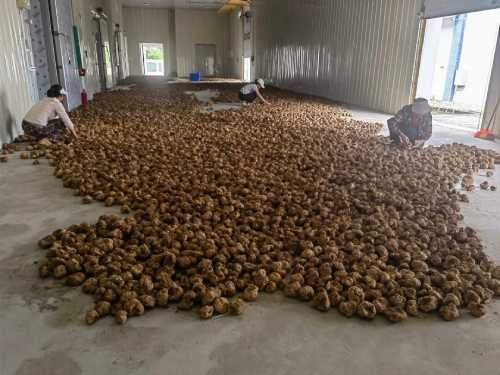 Dual Benefits of Employment and Income Growth