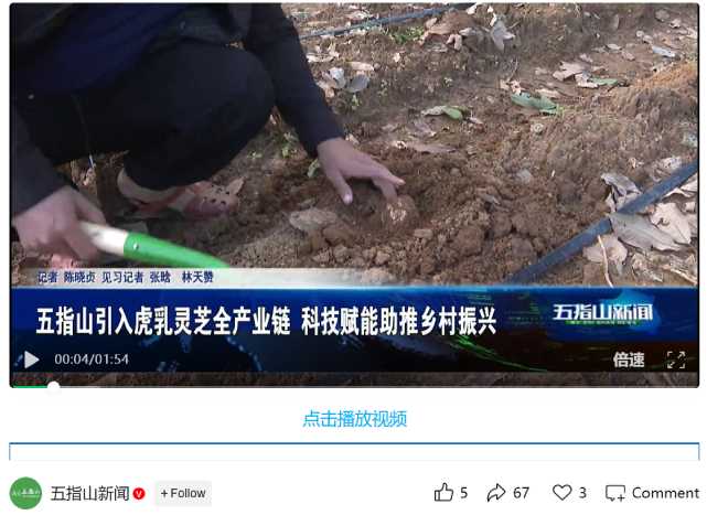 來源:五指山新聞