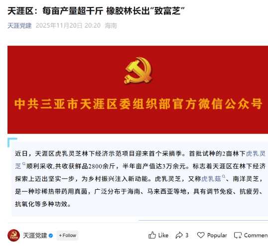 天涯黨建報導天涯區虎乳靈芝產地